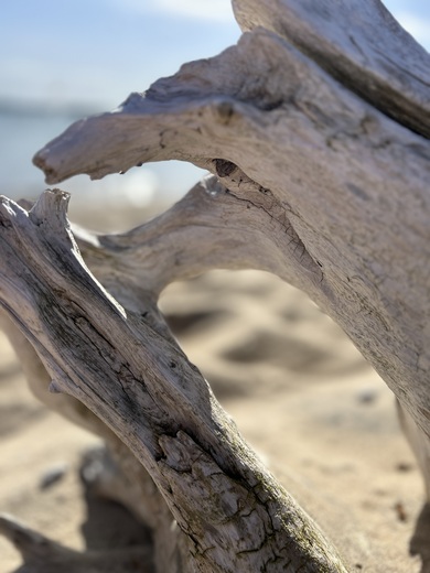 Sleeping Bear Dunes National Lakeshore 
