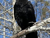 Everglades National Park
