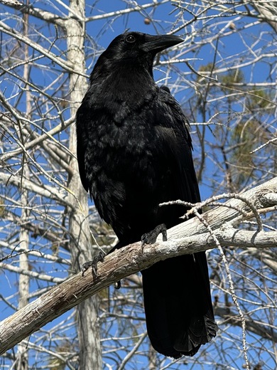 Everglades National Park