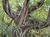 Everglades National Park