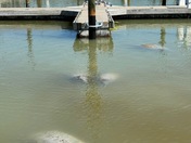 Everglades National Park