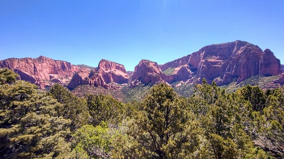 Zion National Park 