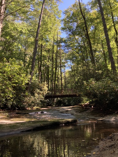 Nantahala National Forest