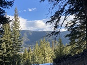 Gallatin National Forest