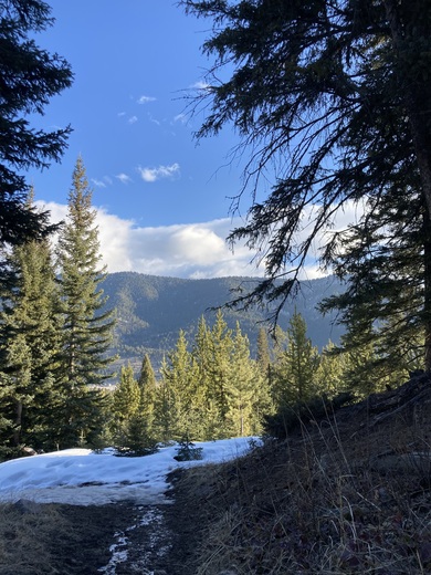 Gallatin National Forest