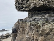 Gallatin National Forest