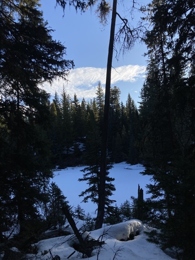 Gallatin National Forest