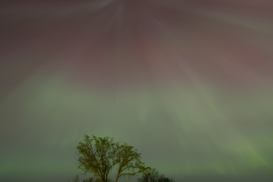 Voyageurs National Park