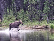 “I am out of here”