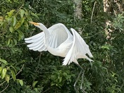 Everglades National Park