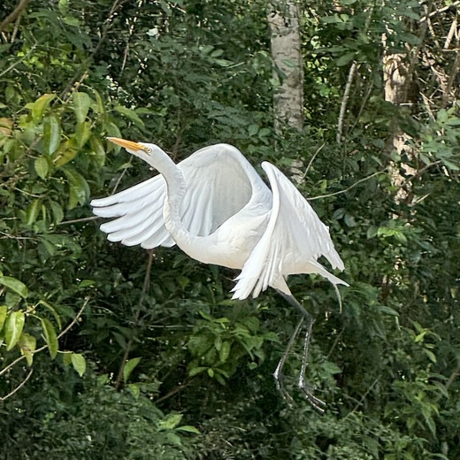 Everglades National Park