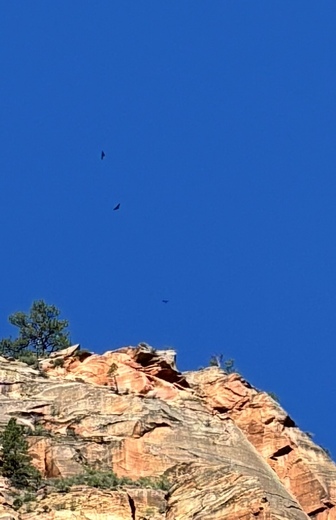 Zion National Park