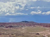 Petrified Forest National Park / Painted Desert