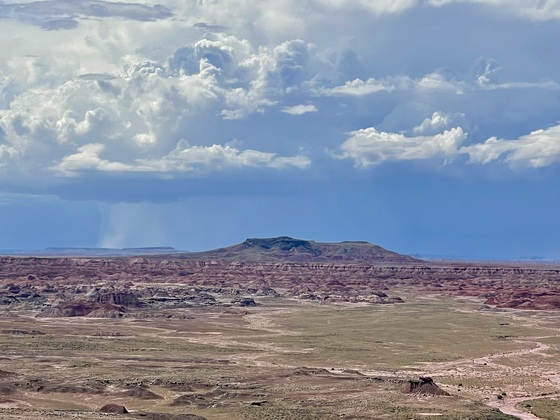 Petrified Forest National Park / Painted Desert
