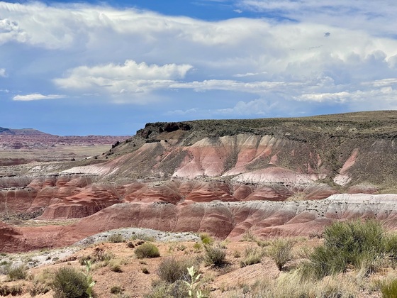 Petrified Forest National Park / Painted Desert