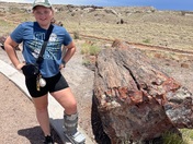 Petrified Forest National Park / Painted Desert