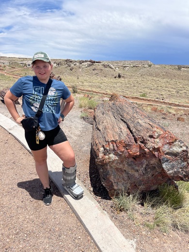 Petrified Forest National Park / Painted Desert