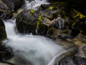 Mount Rainier National Park