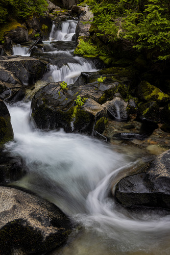 Mount Rainier National Park