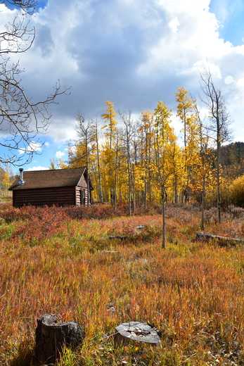 Pike and San Isabel National Forest