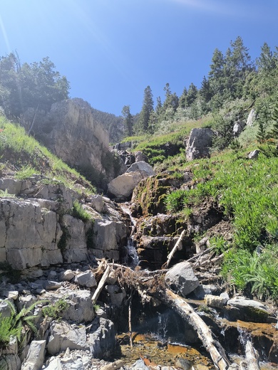 Spring mountains