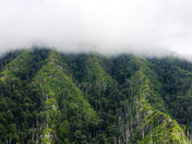 Great Smoky Mountain National Park