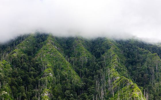 Great Smoky Mountain National Park