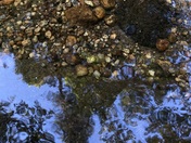 Nantahala National Forest