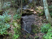Cradle of Forestry in America Pisgah National y