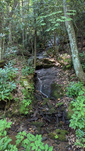 Cradle of Forestry in America Pisgah National y