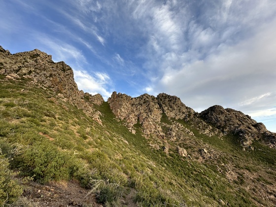 Tonto National
