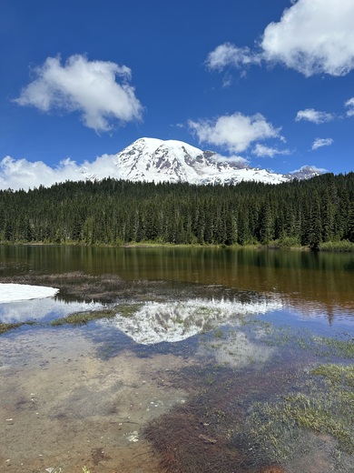Mt Rainier National Park 