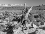 Arches National Park