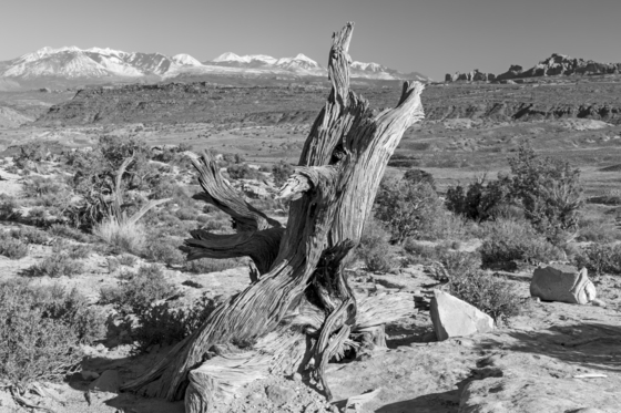 Arches National Park