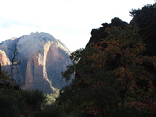 Zion National Park
