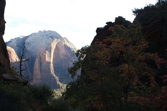 Zion National Park