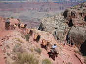 Grand Canyon National Park