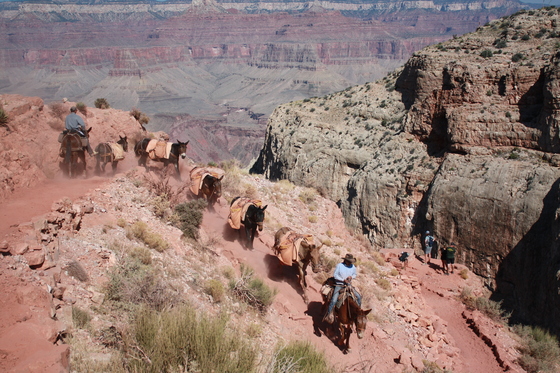 Grand Canyon National Park