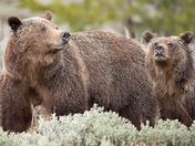 Grand Teton Natuinal Park