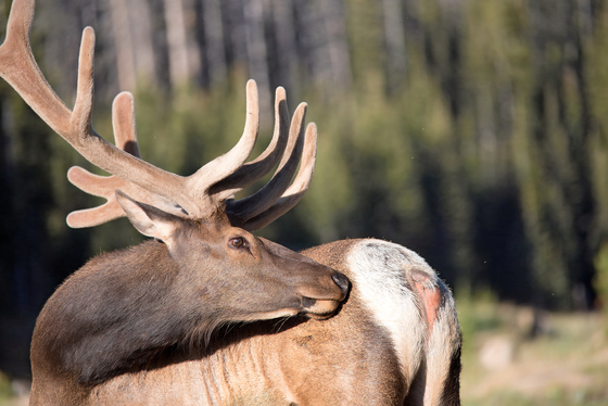 Rocky Mountain National Park