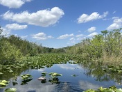 Everglades National Park