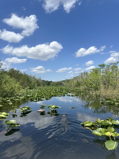 Everglades National Park