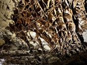 Wind Cave National Park