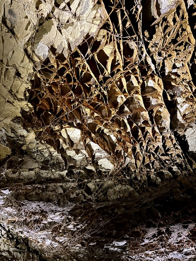 Wind Cave National Park