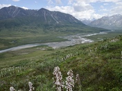 Gates of the Arctic National Park