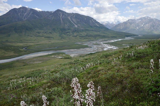Gates of the Arctic National Park