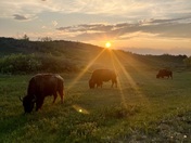 Theodore Roosevelt National Park- North Unit 