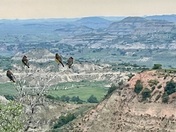 Theodore Roosevelt National Park - south Unit 