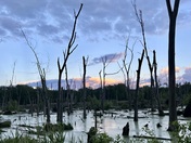 Indiana Dunes National Park 