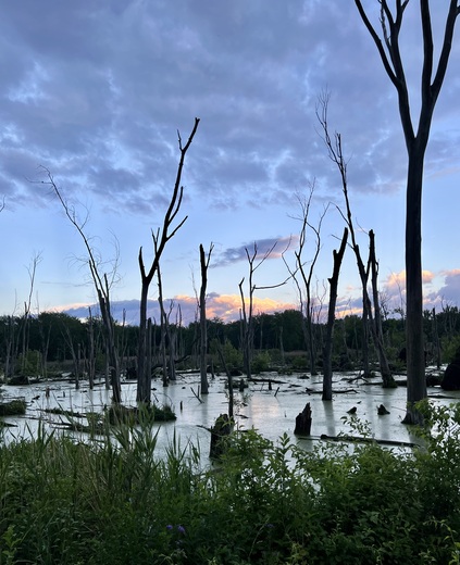 Indiana Dunes National Park 
